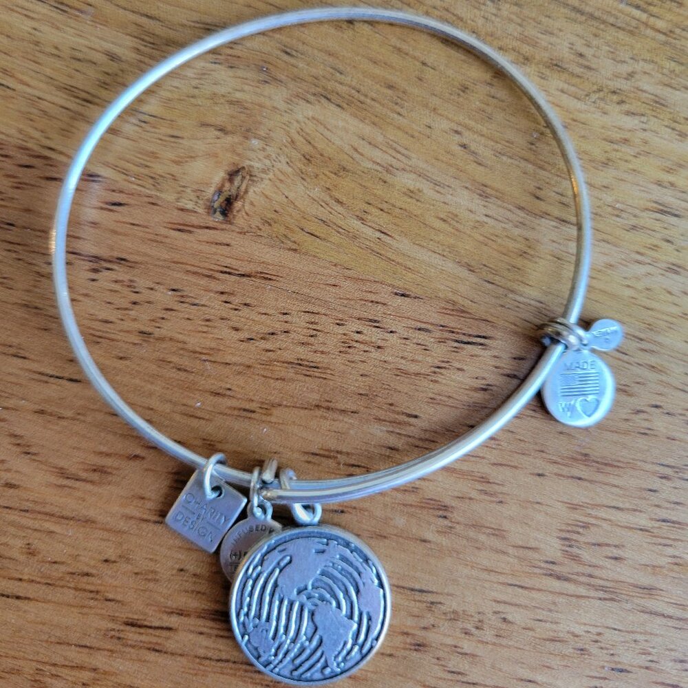 Ani & Alex Bangle Bracelet – Classic & Fun with Globe charm